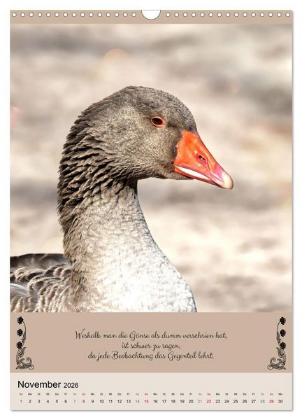 Produktbild: Buntes Tierleben (Wandkalender 2026 DIN A3 hoch), CALVENDO Monatskalender