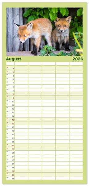 Produktbild: Familienplaner 2026 - Verspielte Fuchswelpen - Allein zu Haus' mit 5 Spalten (Wandkalender, 21 x 45 cm) CALVENDO