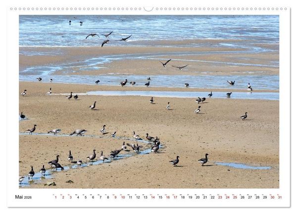Produktbild: Wir fahren nach Borkum (Wandkalender 2026 DIN A2 quer), CALVENDO Monatskalender