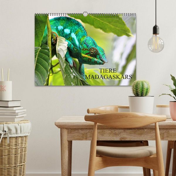 Produktbild: Tiere Madagaskars (Wandkalender 2026 DIN A3 quer), CALVENDO Monatskalender