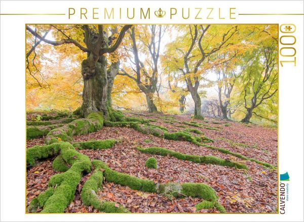 Produktbild: CALVENDO Puzzle Im Hutewald | 1000 Teile Lege-Gr&ouml;&szlig;e 64x48cm Foto-Puzzle f&uuml;r gl&uuml;ckliche Stunden