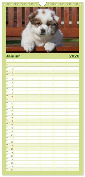 Produktbild: Familienplaner 2026 - Welpen 2026 mit 5 Spalten (Wandkalender, 21 x 45 cm) CALVENDO