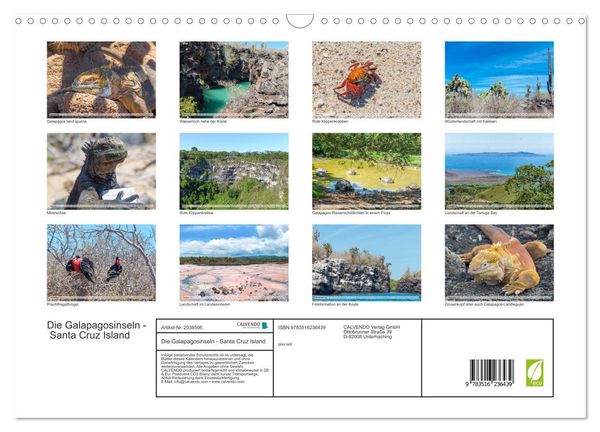 Produktbild: Die Galapagosinseln - Santa Cruz Island (Wandkalender 2026 DIN A3 quer), CALVENDO Monatskalender