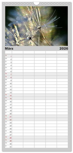 Produktbild: Familienplaner 2026 - Naturjuwel Pusteblume mit 5 Spalten (Wandkalender, 21 x 45 cm) CALVENDO