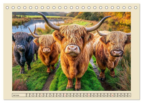 Produktbild: Schottische Hochlandrinder. Zwischen Nebel, Natur und rauer Pracht (Tischkalender 2026 DIN A5 quer), CALVENDO Monatskalender