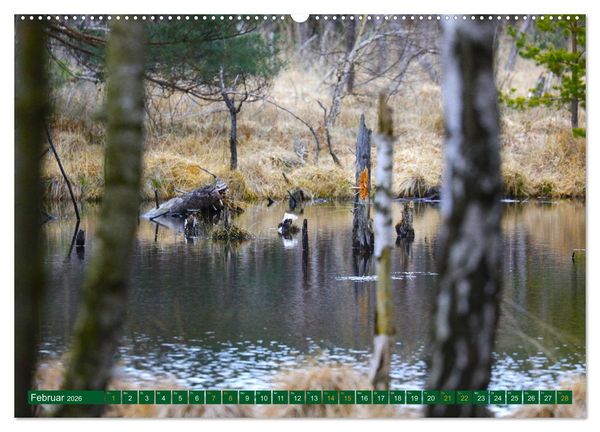 Produktbild: Der Loben. Im Reich der Moorgeister und Kreuzottern- S&uuml;dbrandenburgs letztes gro&szlig;es Moor (Wandkalender 2026 DIN A2 quer), CALVENDO Monatskalender