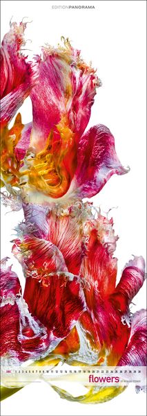 Produktbild: Flowers