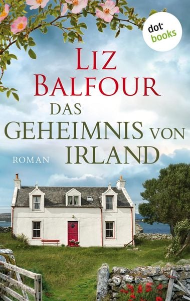 Produktbild: Das Geheimnis von Irland - oder: Ich schreib dir sieben Jahre