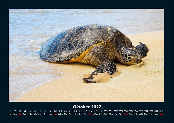 Produktbild: Schildkr&ouml;tenzauber 2027 Fotokalender DIN A4