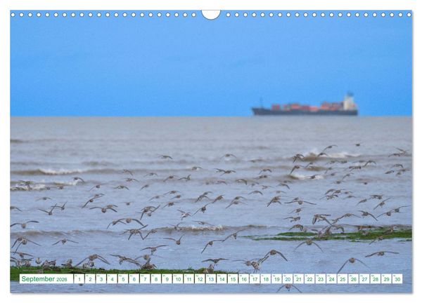 Produktbild: Schillig und Horumersiel - Im Wangerland unterwegs (Wandkalender 2026 DIN A3 quer), CALVENDO Monatskalender