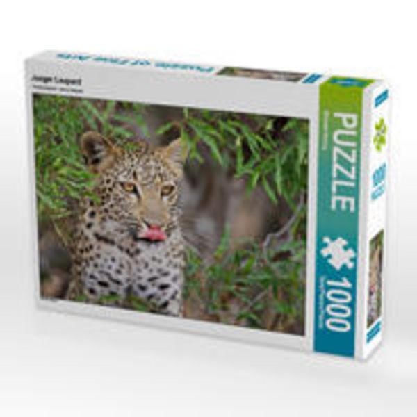 CALVENDO Puzzle Junger Leopard | 1000 Teile Lege-Größe 64x48cm Foto-Puzzle für glückliche Stunden