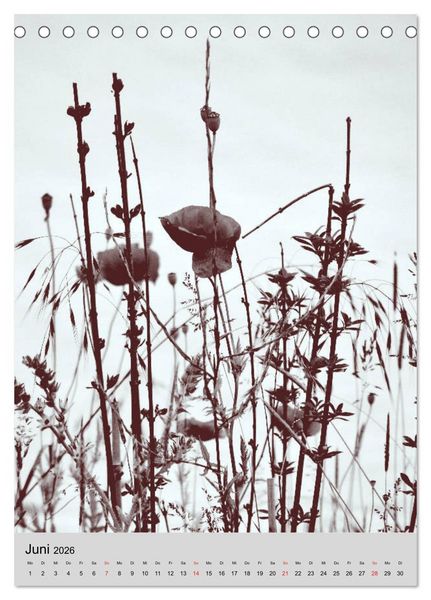 Produktbild: Natur monochrom Die besondere Wirkung (Tischkalender 2026 DIN A5 hoch), CALVENDO Monatskalender