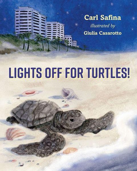 Produktbild: Lights Off for Turtles!