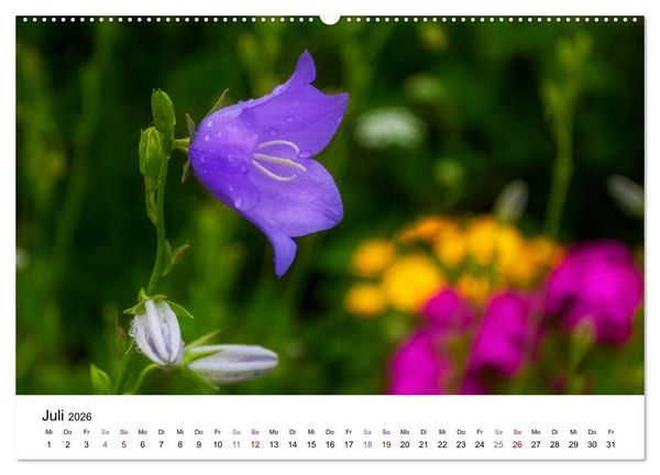 Produktbild: Klosterinsel Reichenau - UNESCO-Welterbe am Bodensee (Wandkalender 2026 DIN A2 quer), CALVENDO Monatskalender