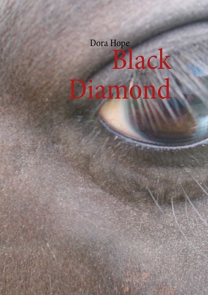 Produktbild: Black Diamond