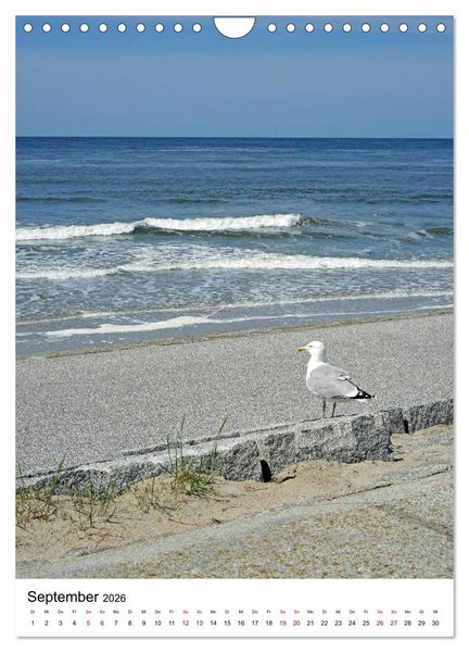 Produktbild: Norderney - Inselliebe (Wandkalender 2026 DIN A4 hoch), CALVENDO Monatskalender
