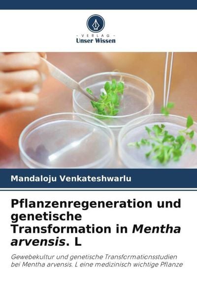 Pflanzenregeneration und genetische Transformation in Mentha arvensis. L, Taschenbuch von Mandaloju Venkateshwarlu, Verlag Unser Wissen, 9786205944899