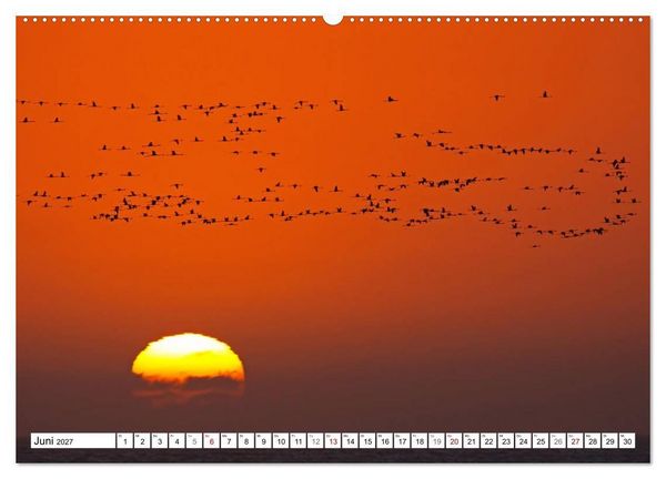 Produktbild: Namibia - Weite sp&uuml;ren (hochwertiger Premium Wandkalender 2027 DIN A2 quer), Kunstdruck in Hochglanz
