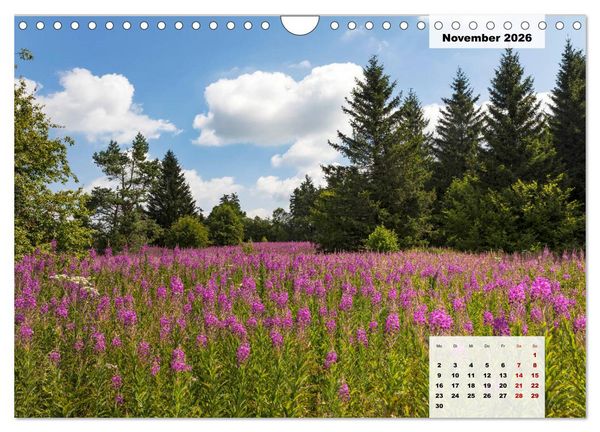 Produktbild: Rh&ouml;ner R&ouml;schen - ein Sommerm&auml;rchen in der Hochrh&ouml;n (Wandkalender 2026 DIN A4 quer), CALVENDO Monatskalender