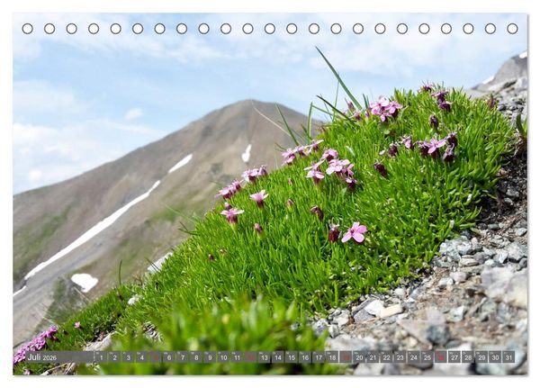 Produktbild: Flora der Alpen (Tischkalender 2026 DIN A5 quer), CALVENDO Monatskalender