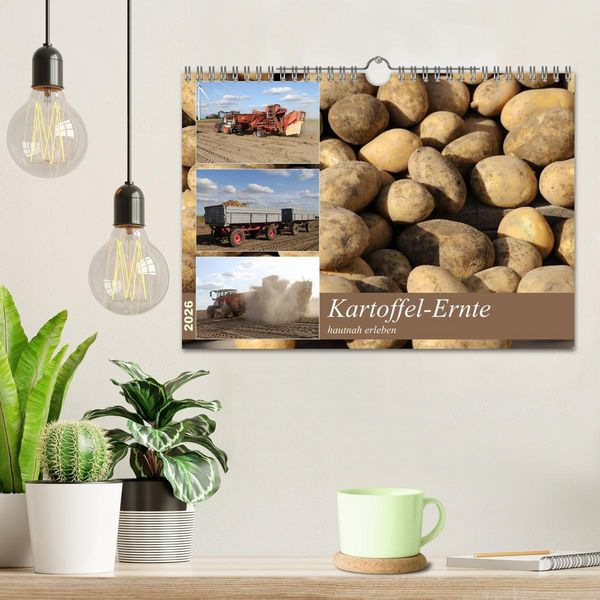Produktbild: Kartoffel-Ernte - hautnah erleben (Wandkalender 2026 DIN A4 quer), CALVENDO Monatskalender