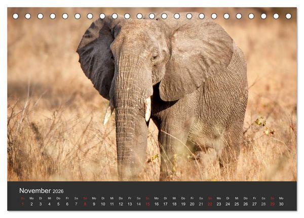 Produktbild: Elefanten - Graue Riesen (Tischkalender 2026 DIN A5 quer), CALVENDO Monatskalender