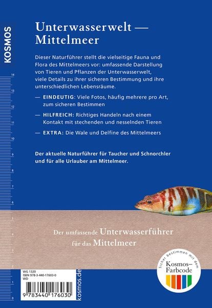 Produktbild: Was lebt im Mittelmeer?