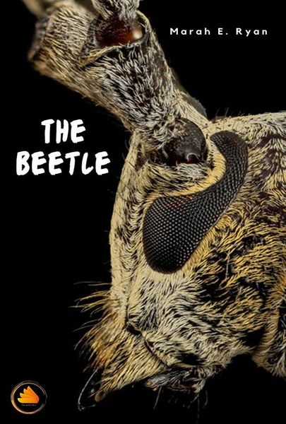 Produktbild: The Beetle