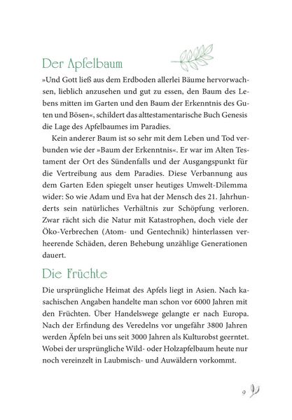 Produktbild: Baumhoroskop der Kelten