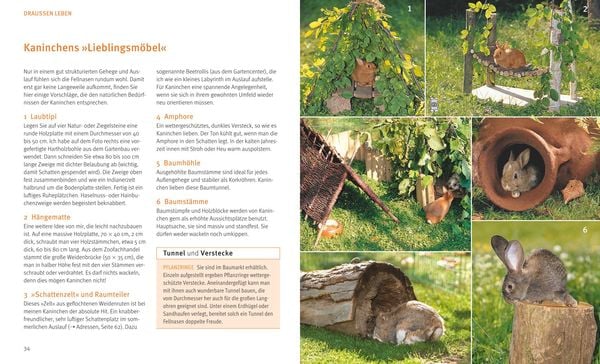 Produktbild: Kaninchen im Au&szlig;engehege
