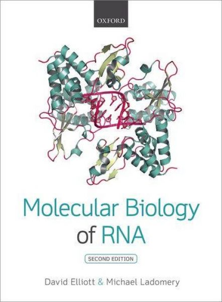 Produktbild: Molecular Biology of RNA