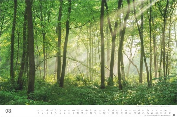 Produktbild: Wunderwelt Wald 2027