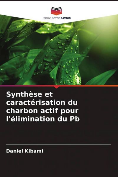 Produktbild: Synth&egrave;se et caract&eacute;risation du charbon actif pour l'&eacute;limination du Pb