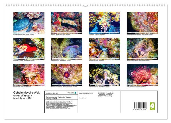 Produktbild: Geheimnisvolle Welt unter Wasser - Nachts am Riff (hochwertiger Premium Wandkalender 2026 DIN A2 quer), Kunstdruck in Hochglanz