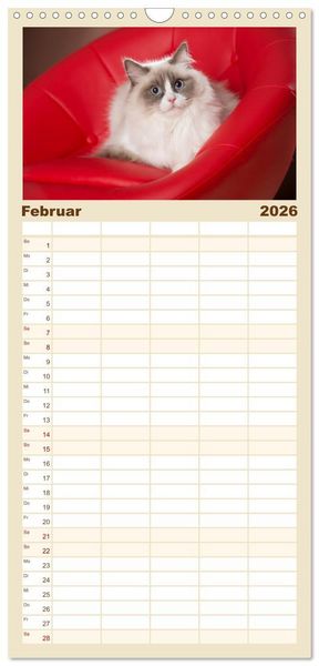 Produktbild: Familienplaner 2026 - Zauberhafte Ragdolls mit 5 Spalten (Wandkalender, 21 x 45 cm) CALVENDO