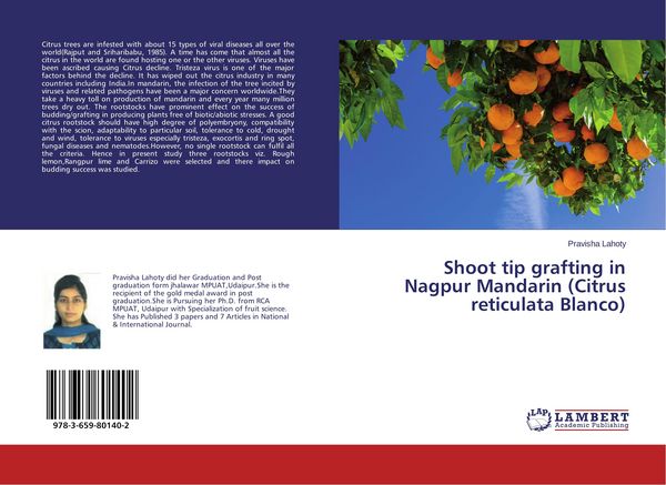 Produktbild: Shoot tip grafting in Nagpur Mandarin (Citrus reticulata Blanco)