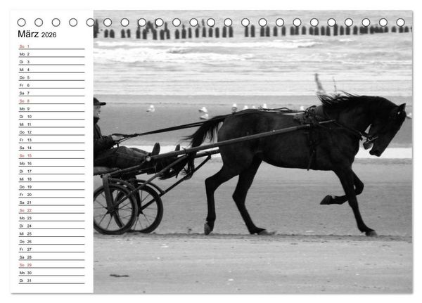 Produktbild: Leidenschaft Pferdesport - Impressionen (Tischkalender 2026 DIN A5 quer), CALVENDO Monatskalender