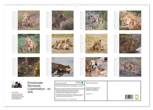 Produktbild: Emotionale Momente: L&ouml;wenbabys - so s&uuml;&szlig;. (Wandkalender 2026 DIN A2 quer), CALVENDO Monatskalender