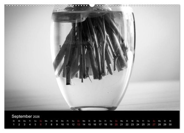 Produktbild: Monochrom 2026 (Wandkalender 2026 DIN A2 quer), CALVENDO Monatskalender