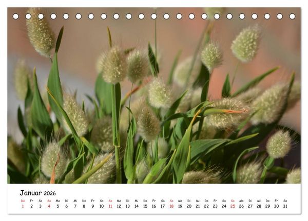 Produktbild: Mein Garten Eine Leidenschaft (Tischkalender 2026 DIN A5 quer), CALVENDO Monatskalender