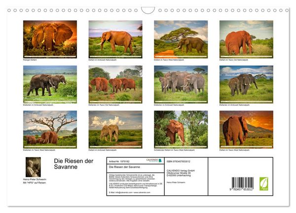 Produktbild: Die Riesen der Savanne (Wandkalender 2026 DIN A3 quer), CALVENDO Monatskalender