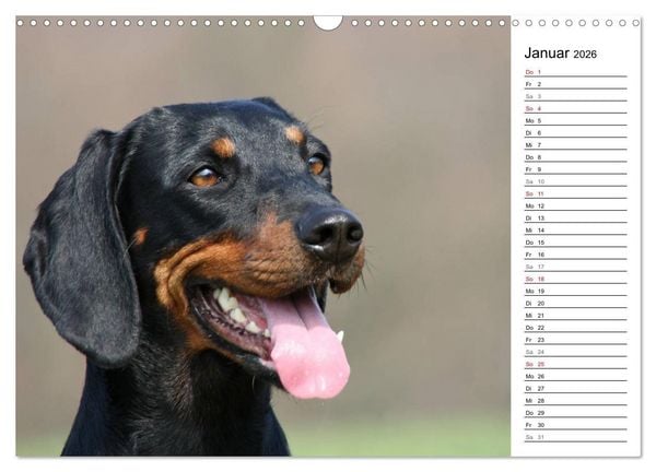 Produktbild: Der Brandlbracken-Terminplaner (Wandkalender 2026 DIN A3 quer), CALVENDO Monatskalender
