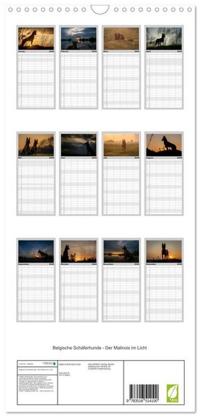 Produktbild: Familienplaner 2026 - Belgische Sch&auml;ferhunde - Der Malinois im Licht mit 5 Spalten (Wandkalender, 21 x 45 cm) CALVENDO