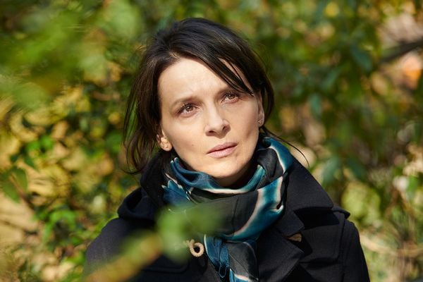Produktbild: Die Bl&uuml;te des Einklangs