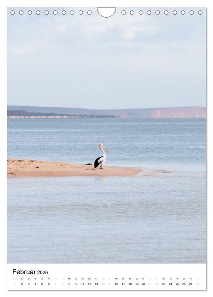Produktbild: australian animals (Wandkalender 2026 DIN A4 hoch), CALVENDO Monatskalender