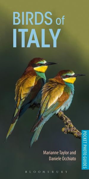 Produktbild: Occhiato, D: Birds of Italy