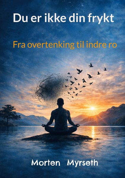 Produktbild: Du er ikke din frykt