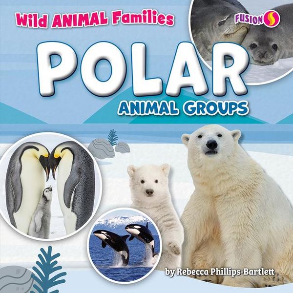 Produktbild: Polar Animal Groups