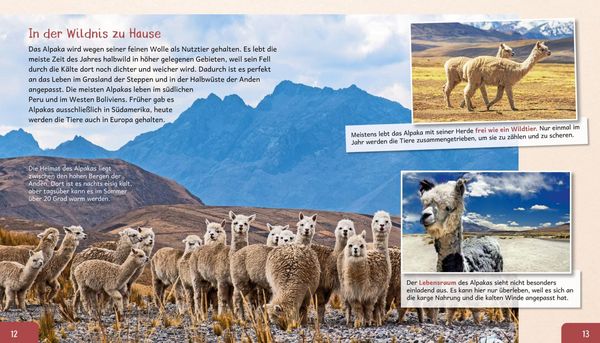 Produktbild: Meine gro&szlig;e Tierbibliothek: Das Alpaka