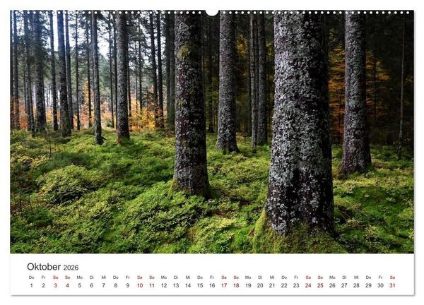 Produktbild: Deutschlands Landschaften 2026 &ndash; Von der K&uuml;ste bis zu den Alpen (Wandkalender 2026 DIN A2 quer), CALVENDO Monatskalender